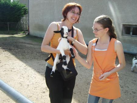 Tout sur les chats 